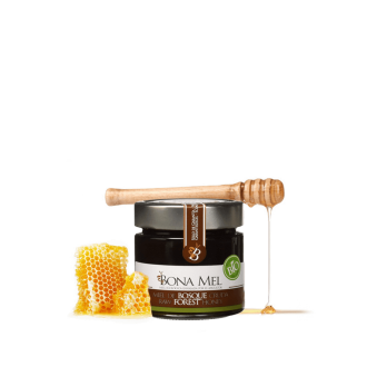 Bote de 300 gramos de miel de bosque ecológica de Bona Mel con un trozo de colmena y un palo de madera de panal sobre fondo transparente