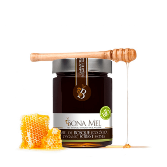Bote de 900 gramos de miel de bosque ecológica de Bona Mel con un trozo de colmena y un palo de madera de panal sobre fondo transparente