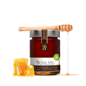 Bote de 900 gramos de miel de castaño ecológica de Bona Mel con un trozo de colmena y un palo de madera de panal sobre fondo transparente