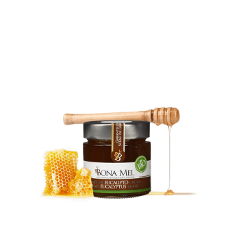 Bote de 300 gramos de miel de eucalipto ecológica de Bona Mel con un trozo de colmena y un palo de madera de panal sobre fondo transparente